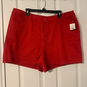 Cato Shorts 22W NWT